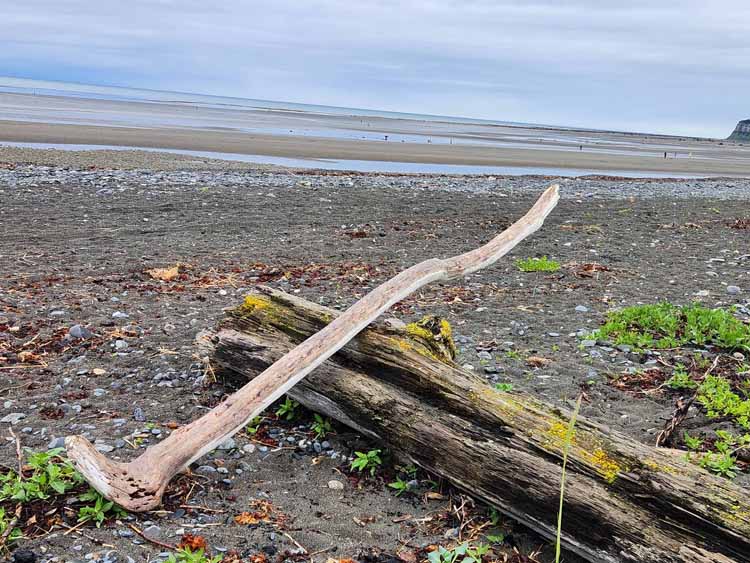 beach at low tide